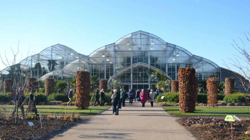 Things to do near London with kids RHS Wieley